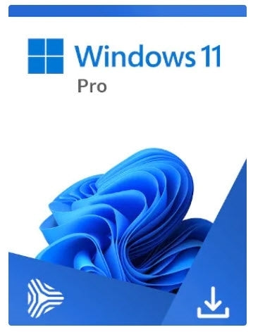 Windows 11 Pro 64bit (DSP)